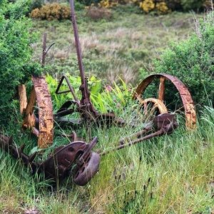 Meet your Posher, Kris